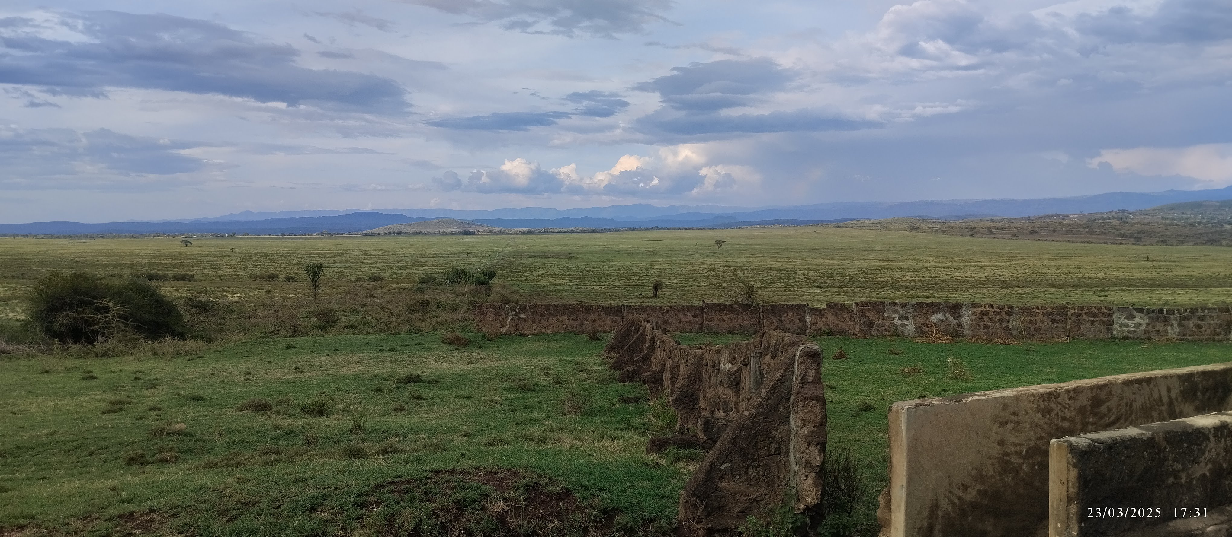An expansive grassland plain seen from a gentle escarpment, with a patch of woodland and hills fading into the distance