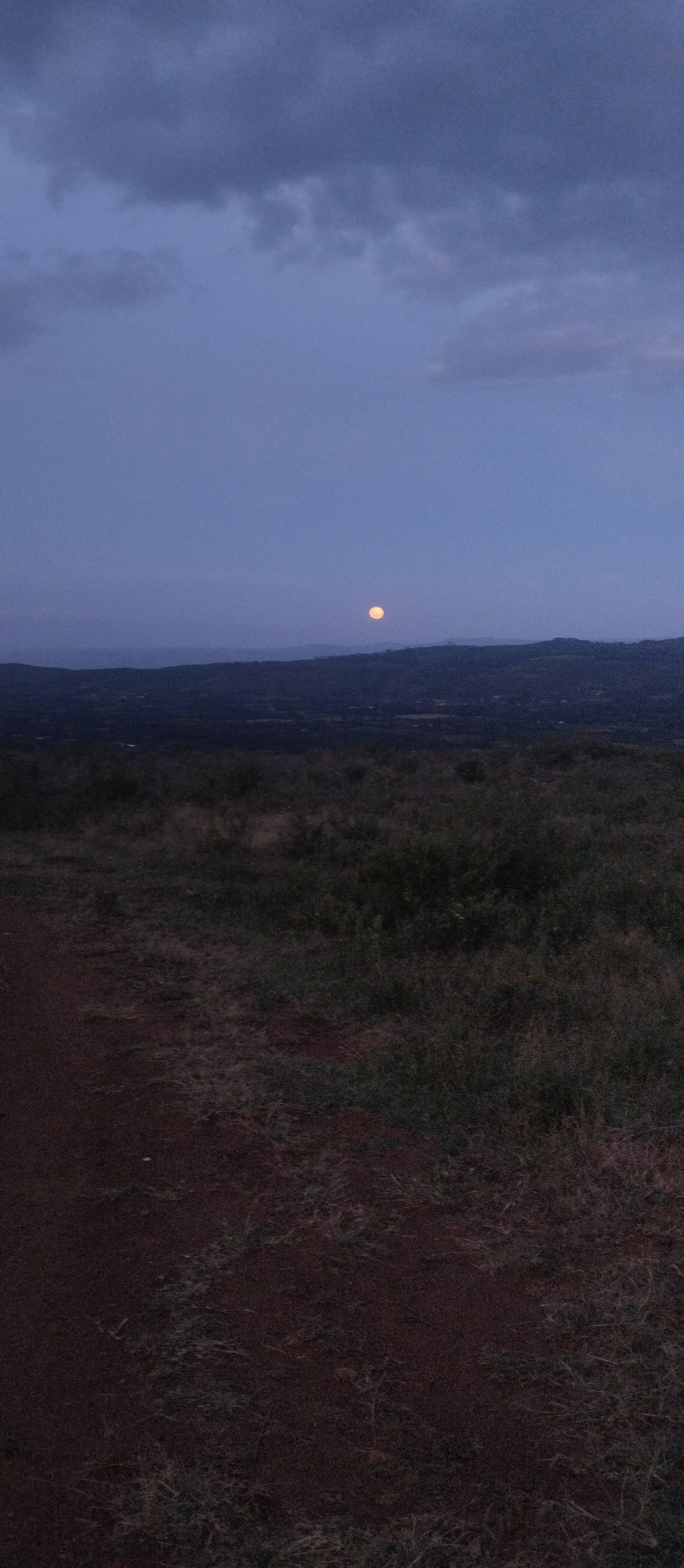 The full moon rising above the grassland plain, 2024